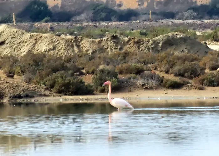 Flamingos View Apartment In Cabo De Gata